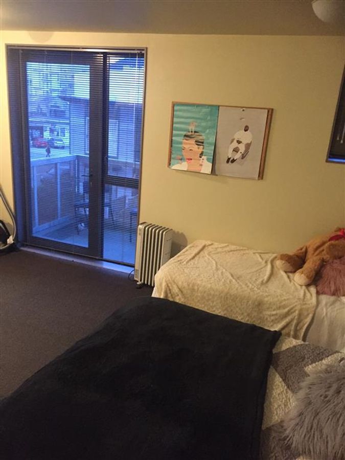 Spacious Studio Apartment in Wellington Central - Vaade 5