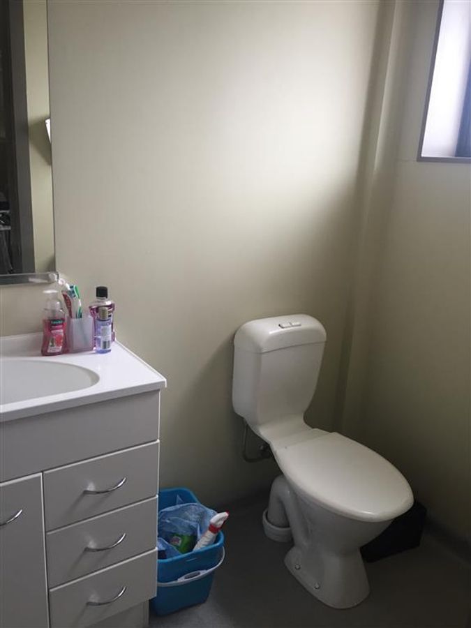 Spacious Studio Apartment in Wellington Central - Veel