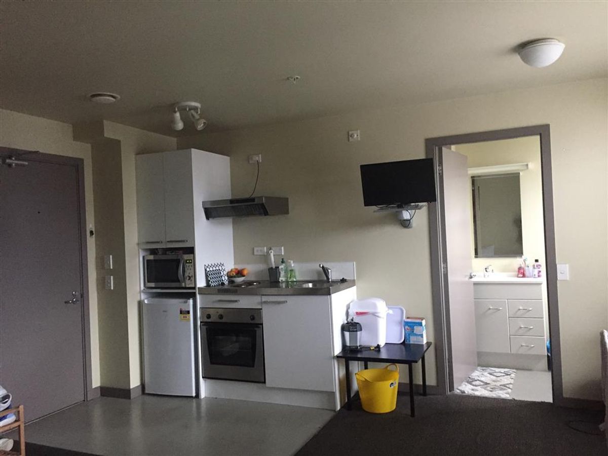 Spacious Studio Apartment in Wellington Central - Vaade 3