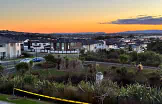 7 Fricker Way, Flat Bush