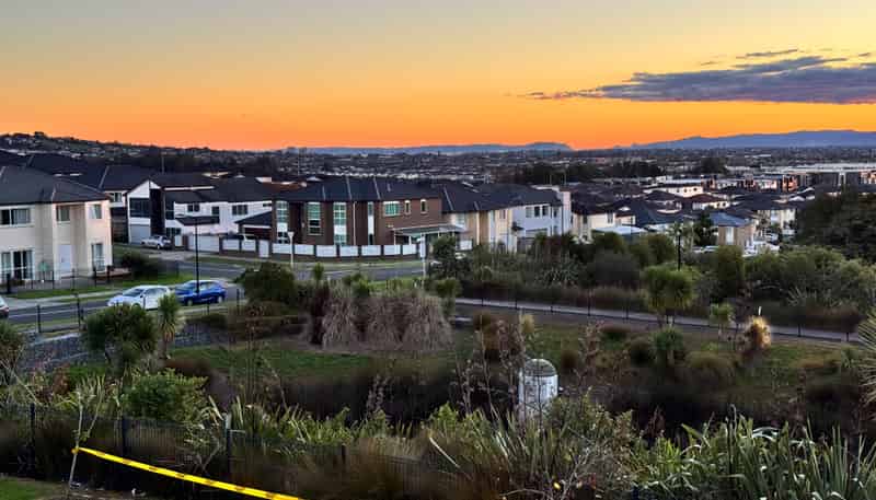 7 Fricker Way, Flat Bush