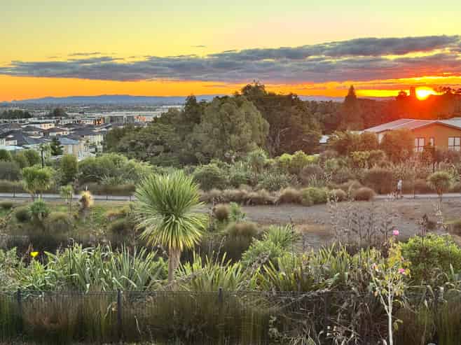 7 Fricker Way, Flat Bush