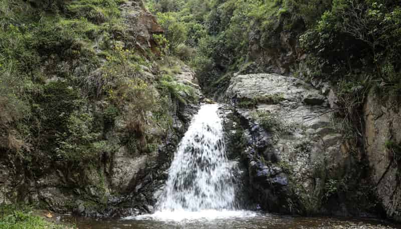 106 Harrison Hill Road, Aokautere