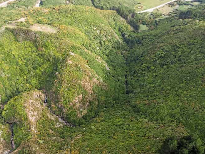 106 Harrison Hill Road, Aokautere