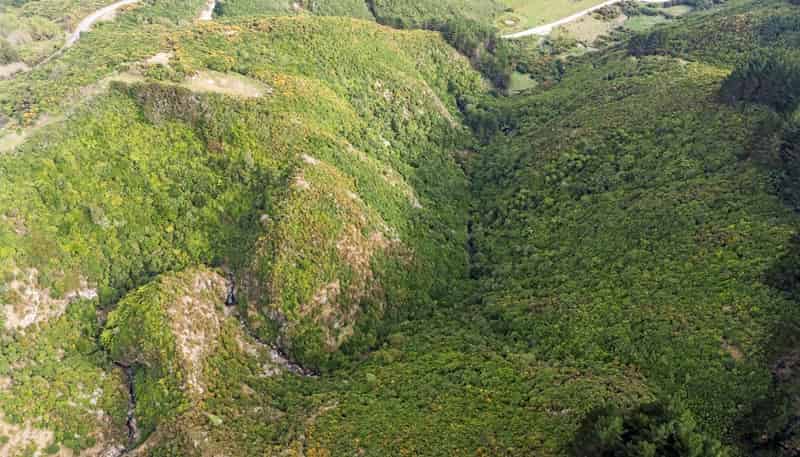 106 Harrison Hill Road, Aokautere