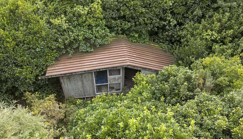 106 Harrison Hill Road, Aokautere