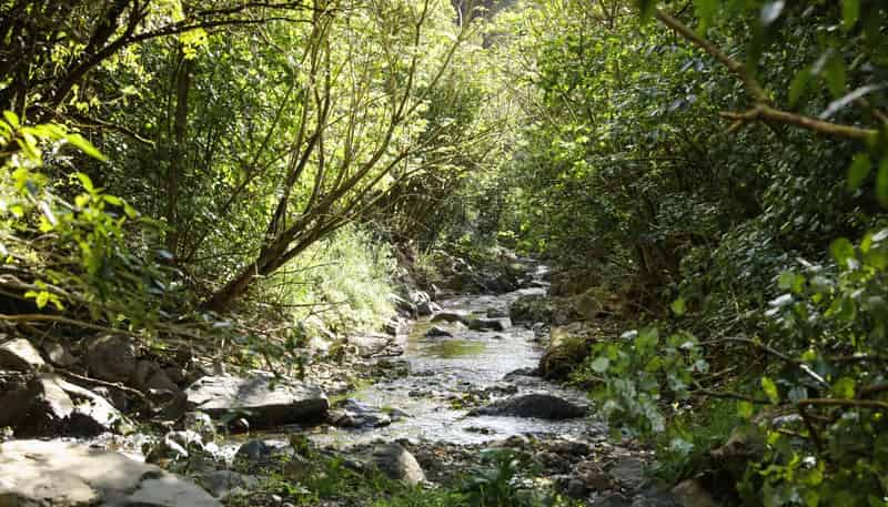 106 Harrison Hill Road, Aokautere