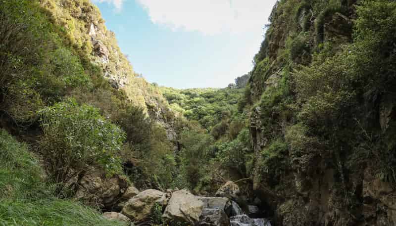 106 Harrison Hill Road, Aokautere