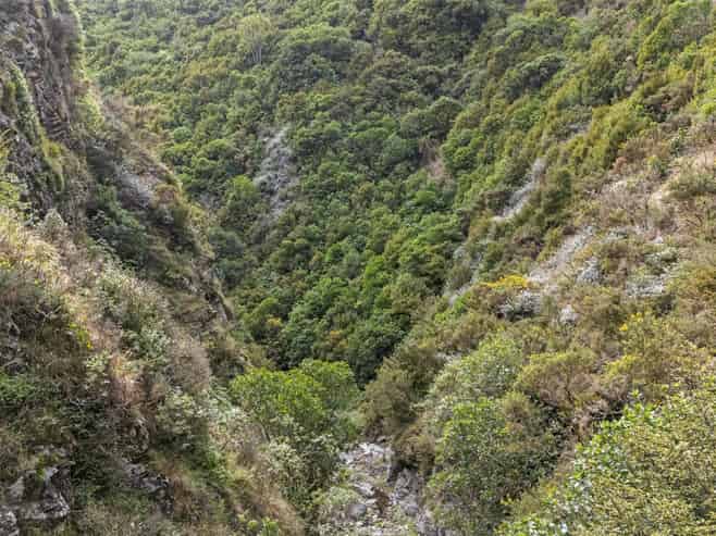 106 Harrison Hill Road, Aokautere