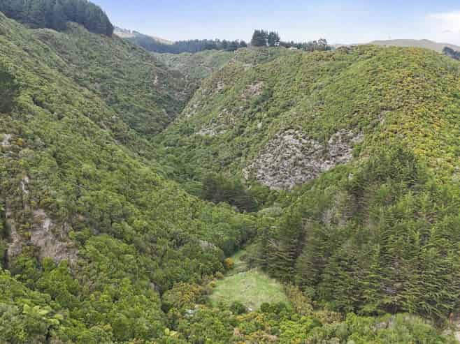 106 Harrison Hill Road, Aokautere