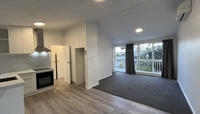 1/55 Carrington Street, Vogeltown