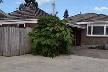 22 Nixon Street, Hamilton East