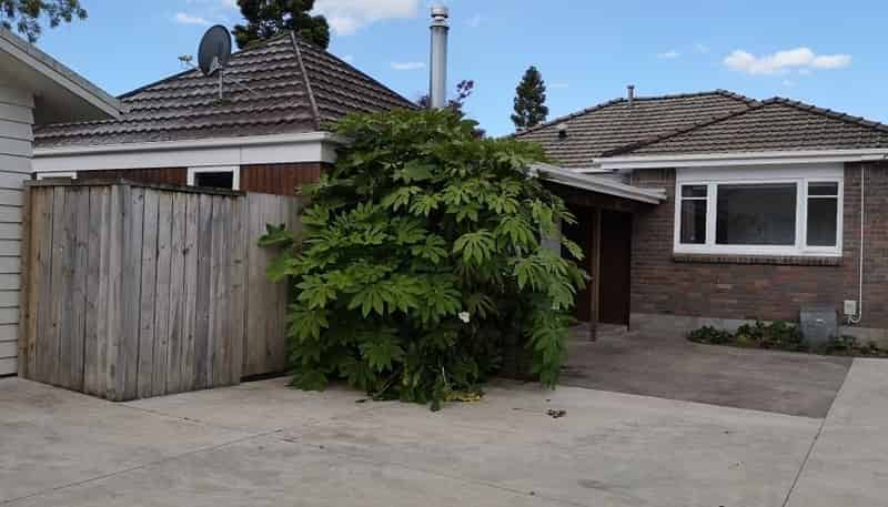 22 Nixon Street, Hamilton East