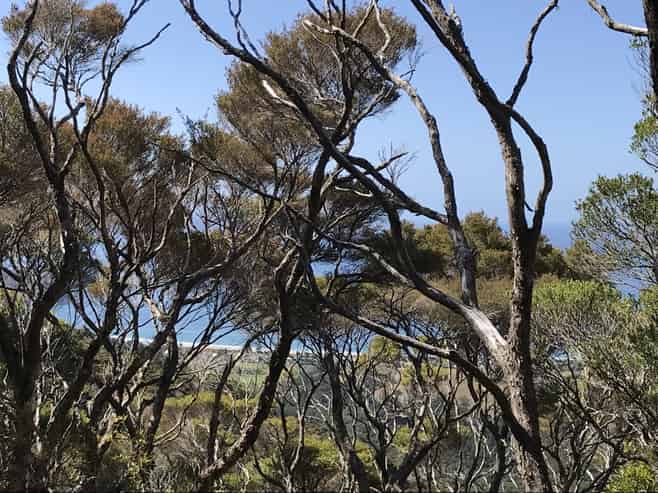 Lot 73, NW71 S71 Aotea Parish Station Rock Road, Great Barrier Island (Aotea Island)
