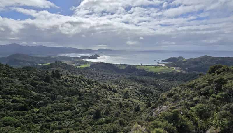 Lot 73, NW71 S71 Aotea Parish Station Rock Road, Great Barrier Island (Aotea Island)