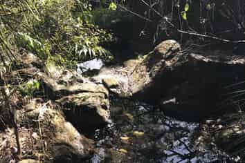 Lot 73, NW71 S71 Aotea Parish Station Rock Road, Great Barrier Island (Aotea Island)