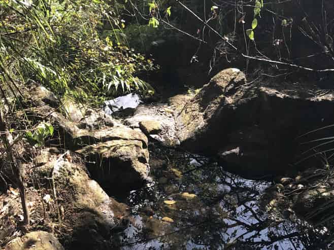 Lot 73, NW71 S71 Aotea Parish Station Rock Road, Great Barrier Island (Aotea Island)