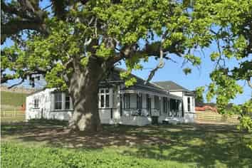 3 Daisy Burrell Drive, Gulf Harbour