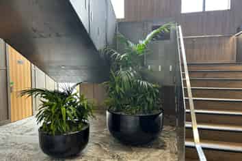 6/12 Twelfth Avenue, Lake Hayes Estate