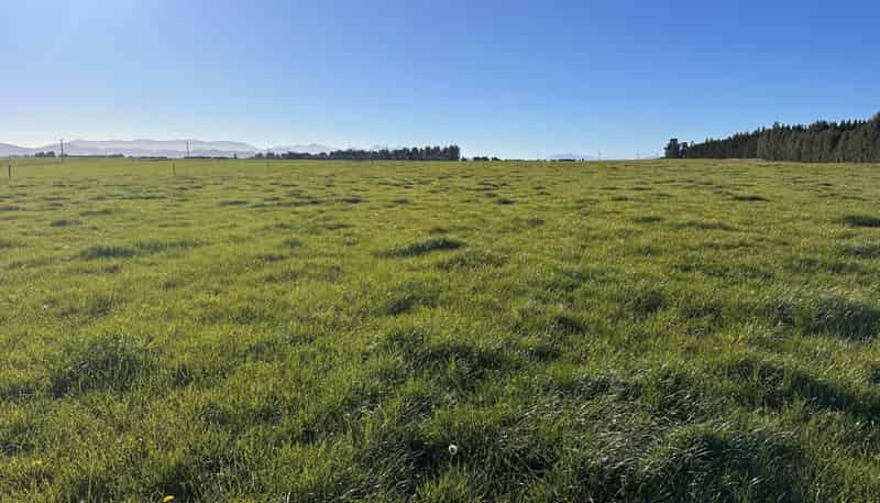  Rakaia Terrace Road, Hororata