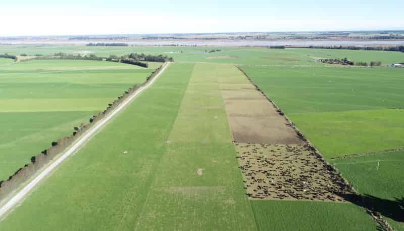  Rakaia Terrace Road, Hororata