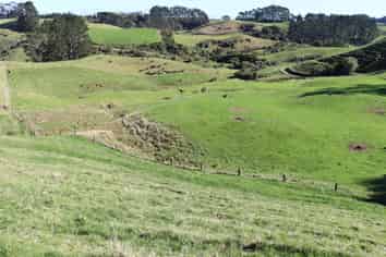 344 Hursthouse Road, Inglewood