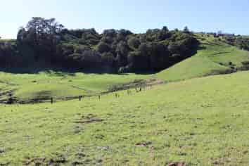 344 Hursthouse Road, Inglewood