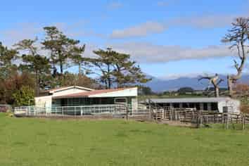 344 Hursthouse Road, Inglewood
