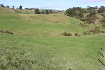344 Hursthouse Road, Inglewood