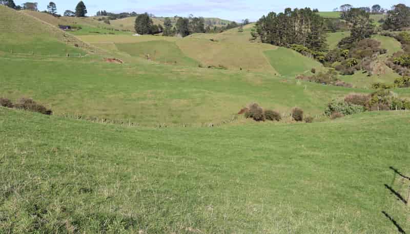 344 Hursthouse Road, Inglewood
