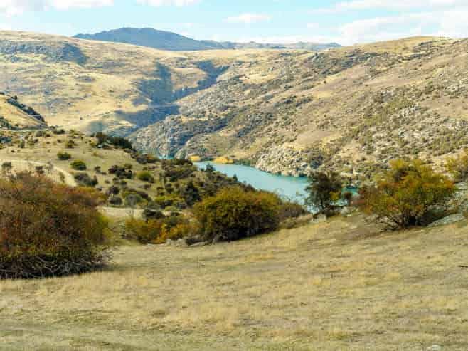 Lot 1 Fruitlands-Roxburgh Road, Roxburgh