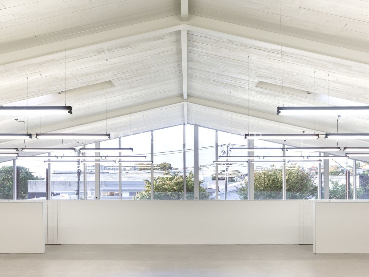 PRIME MORNINGSIDE SHOWROOM AND OFFICE - Widok 5