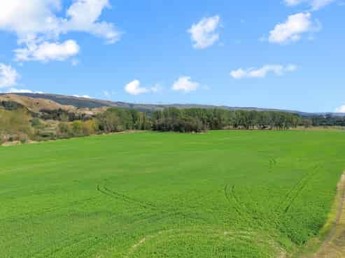 25 River Road, Ashhurst