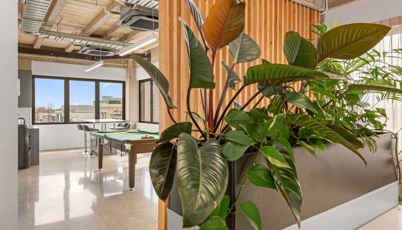 Level 4, 527 Victoria Street, Hamilton Central