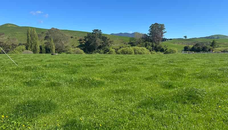 Lots 1-2, 51 Kiwi Road, Pirongia