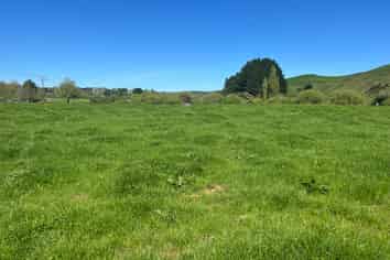 Lots 1 & 2, 51 Kiwi Road, Pirongia