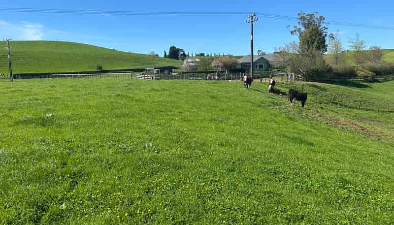 Lots 1-2, 51 Kiwi Road, Pirongia