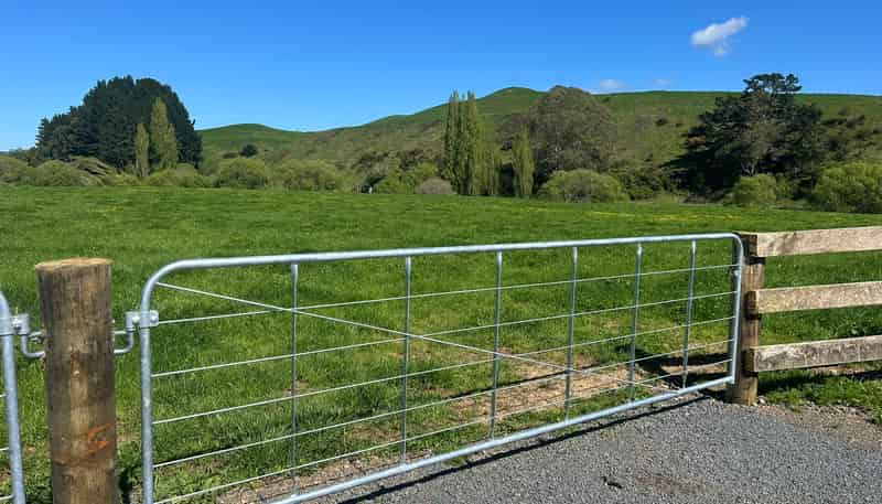 Lots 1-2, 51 Kiwi Road, Pirongia