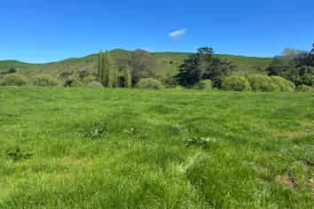 Lots 1 & 2, 51 Kiwi Road, Pirongia