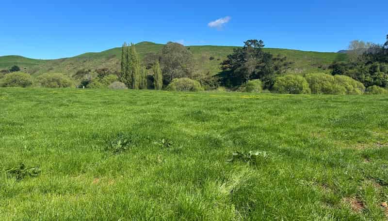 Lots 1-2, 51 Kiwi Road, Pirongia