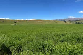Lot 4, 1791 Bells Lane, Tarras