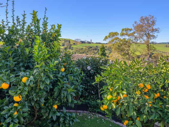 26 Tuscany Place, Ohauiti