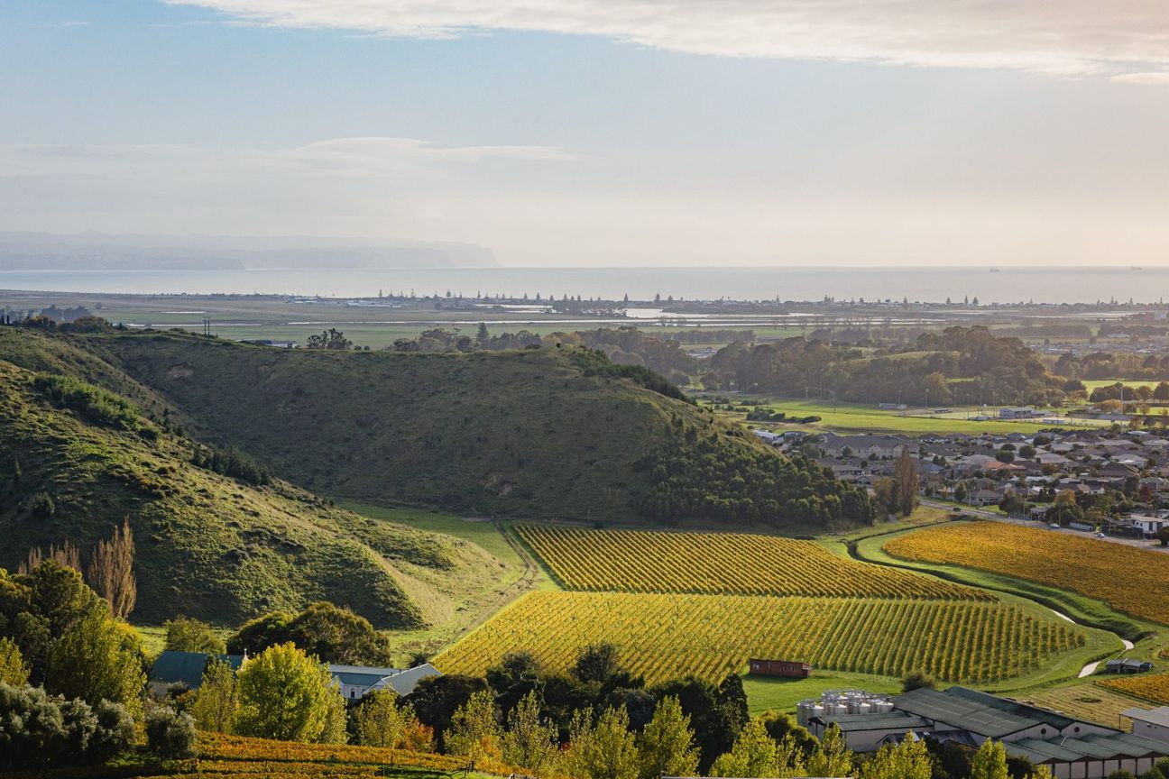 Generous Parklands Section | 625m², Lot 238 - View 5