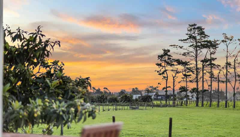 12 Joyce Adams Place, Waimauku