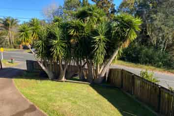 52 O'Neills Road, Waitakere