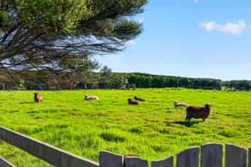 259 Mairetahi Road, South Head, Helensville