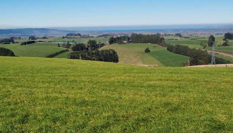 Cameron Road, Hillend, Balclutha