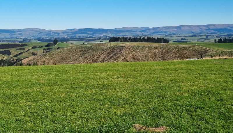  Cameron Road, Hillend, Balclutha