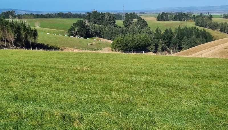  Cameron Road, Hillend, Balclutha
