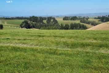  Cameron Road, Hillend, Balclutha